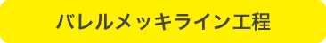 バレルメッキライン工程